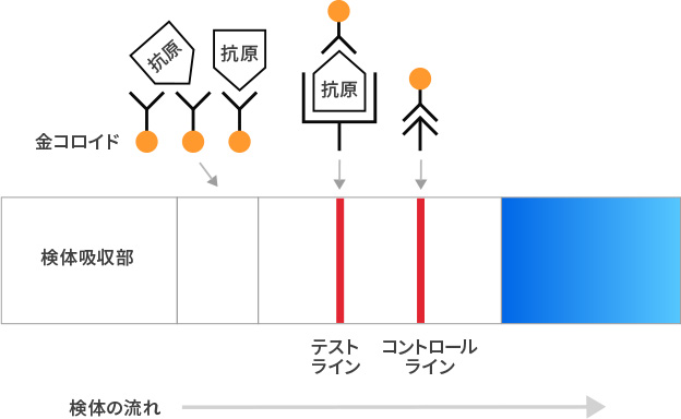 イムノクロマト